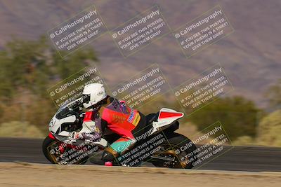 media/Nov-12-2023-SoCal Trackdays (Sun) [[5d1fba4e7d]]/Turn 3 Inside Speed Pans (135pm)/